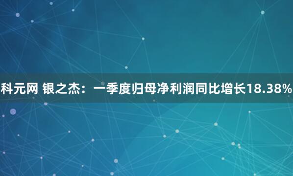 科元网 银之杰：一季度归母净利润同比增长18.38%