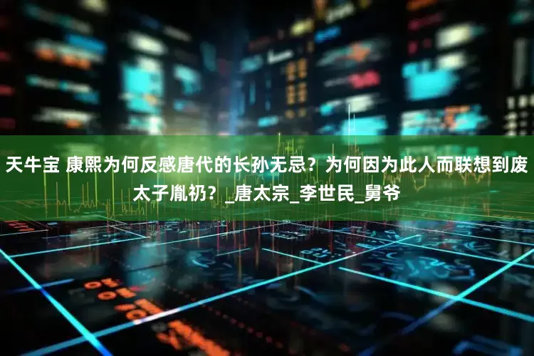 天牛宝 康熙为何反感唐代的长孙无忌？为何因为此人而联想到废太子胤礽？_唐太宗_李世民_舅爷