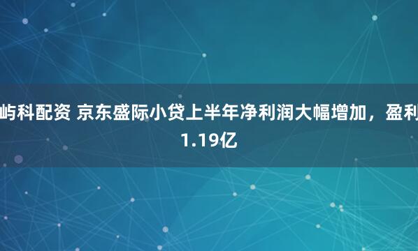 屿科配资 京东盛际小贷上半年净利润大幅增加，盈利1.19亿