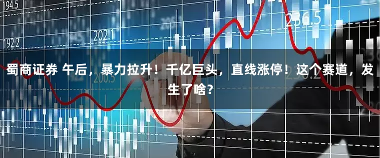 蜀商证券 午后，暴力拉升！千亿巨头，直线涨停！这个赛道，发生了啥？